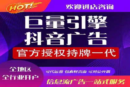 热门SEM运营公司案例深度剖析